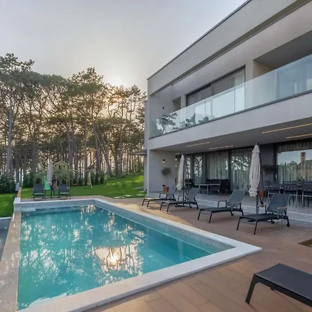 Tatil Evi Dreamy In Labin With Private Pool And Views